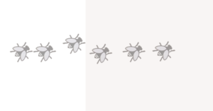 簡単にコバエを退治！アース製薬の粘着剤で土からわいたコバエを撃退